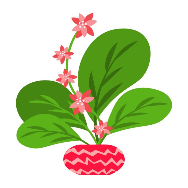 矢量插图花，植物生长在一个花盆。图片下载