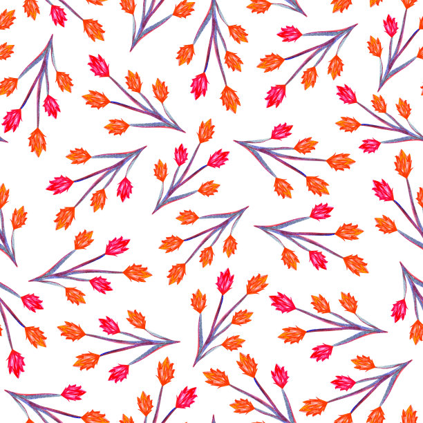 红色和橙色的花。图片下载