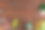 不同的钓具与鱼饵和卷轴在木制的棕色背景与文字的地方。广告及出版设计。图片下载