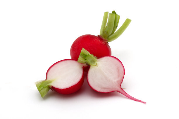 白底萝卜图片下载