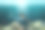 水下美人鱼在海洋珊瑚礁中游泳图片下载