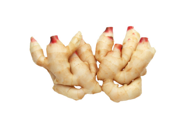 白底鲜姜图片下载