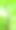 甜菜叶子。甜菜根叶，新鲜的甜菜叶。图片下载