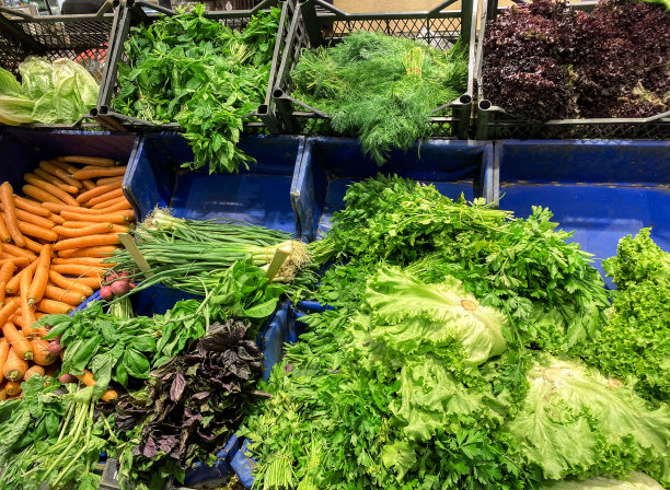 超市货架上的新鲜蔬菜。健康的概念图片下载