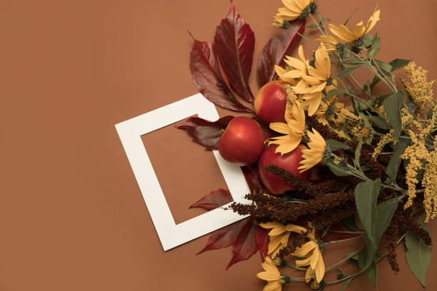 苹果和一束秋天的花在肉桂背景与白色边框。季节性的概念。平顶视图。为文本复制空间。特写照片图片下载
