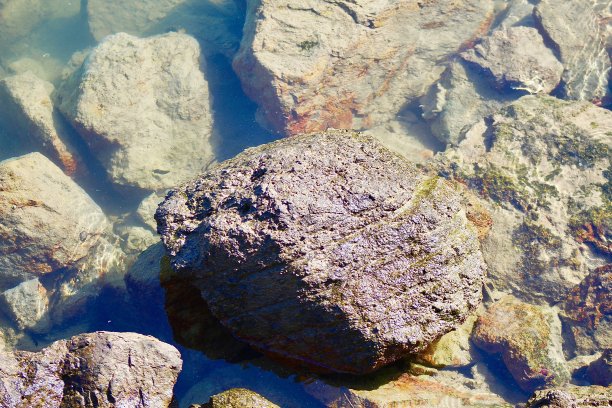 孤独在石头上图片下载