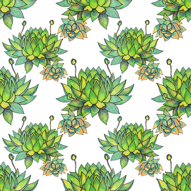 无缝图案绿色肉质木犀属植物。艺术创意手绘自然背景卡片，贴纸，墙纸，纺织品或包装图片下载