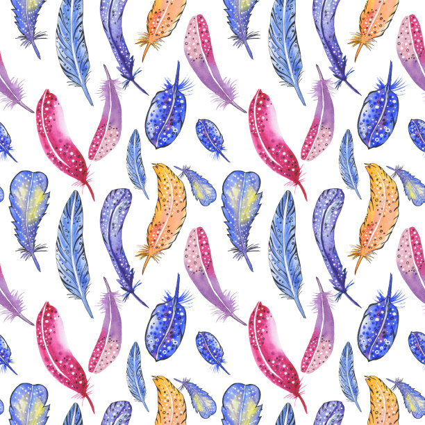 鸟鲜艳的羽毛图案背景图片下载