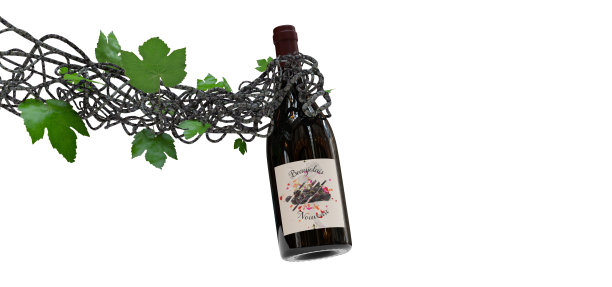 白色背景上的红酒瓶图片下载