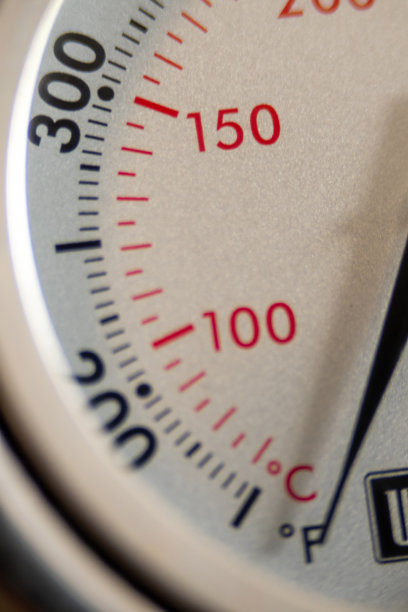 烧烤烧烤温度计特写图片下载