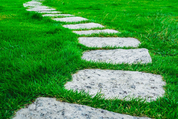 绿草中的石头小径图片下载