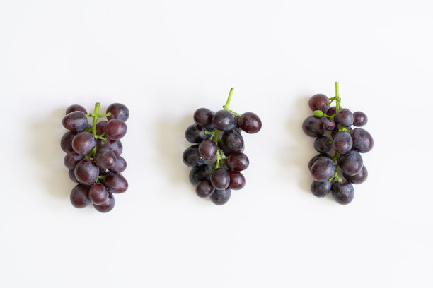 成熟的紫葡萄图片下载