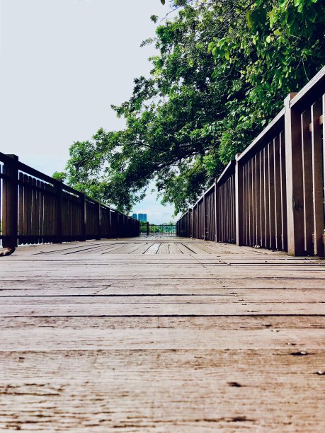 木木板路图片下载