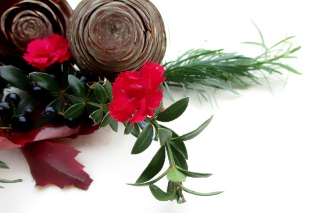 植物中的圣诞卡片图片下载