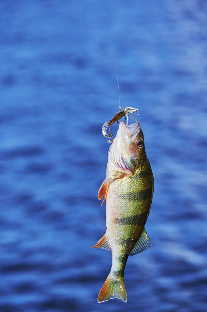 河边钓鱼的场景。图片下载