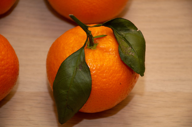 桔子桔子在圣诞树的背景图片下载