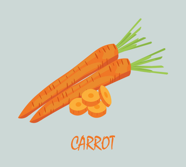 胡萝卜图片下载