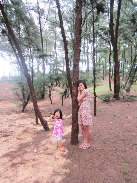 夏日里，母女俩站在松树林中图片下载