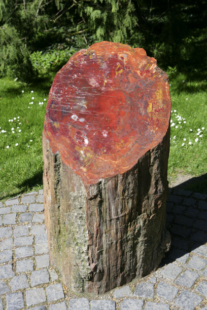 德国康斯坦茨湖，花岛图片下载