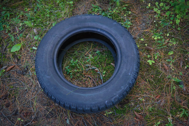 旧汽车轮胎上的背景草特写。图片下载