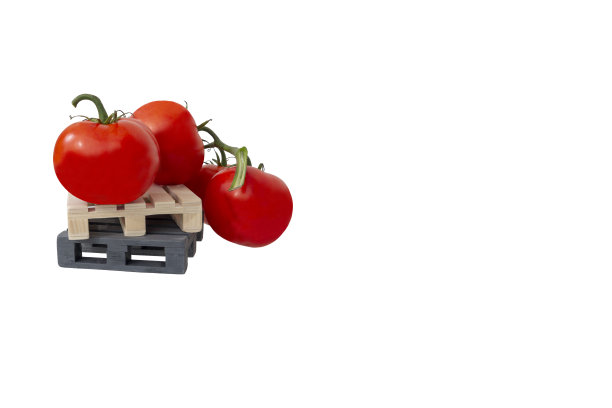 近距离的美味新鲜的西红柿枝在木制的迷你托盘孤立的白色背景与大的复制空间。有茎的红色番茄。在蔬菜商店销售产品的概念。图片下载