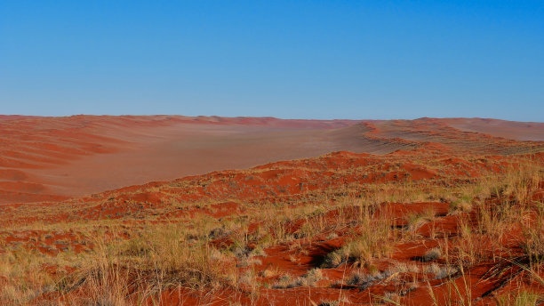 在一个山谷周围的大红色沙丘包围，纳米比亚沙漠，纳米比亚，非洲的全景。图片下载
