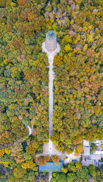 南京灵谷寺的秋景图片下载