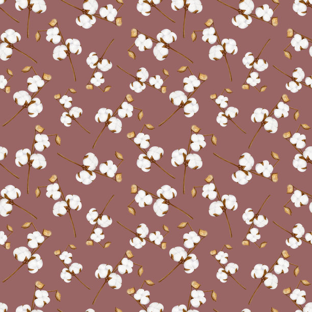 水彩棉枝与白花无缝图案。在深褐色背景上分离的干燥蓬松的棉花植株手绘植物图。图片下载