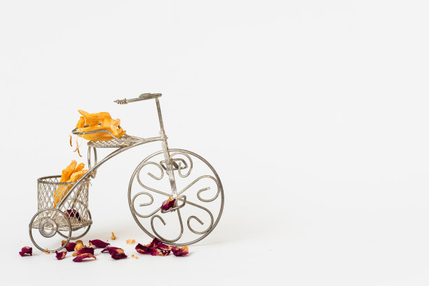 装饰金属自行车和干花图片下载