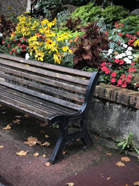 秋天，公园里的花坛旁的长椅，落叶丛中图片下载