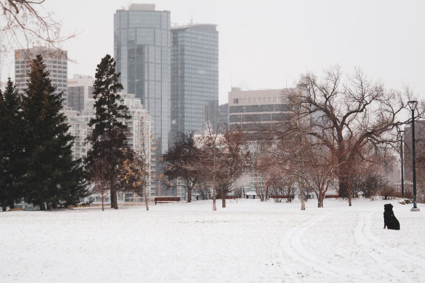 等待冬天图片下载
