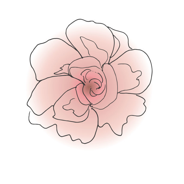 矢量插图。花蕾手绘风格与黑色轮廓和粉色梯度填充。为设计元素。图片下载