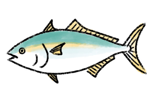 幼黄尾插图画笔图片下载