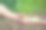 孩子和父亲在花园里种西红柿。有选择性的重点。图片下载