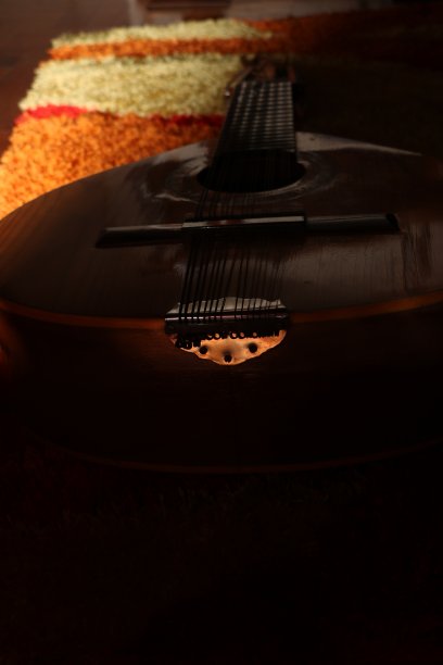 不同色调的班多拉(吉他)图片下载