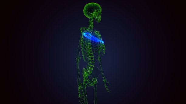 人体骨骼解剖肋骨笼第五骨3D渲染医学概念图片下载