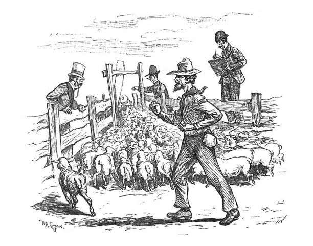 古董插图-人牧羊在一个圈和数他们图片下载