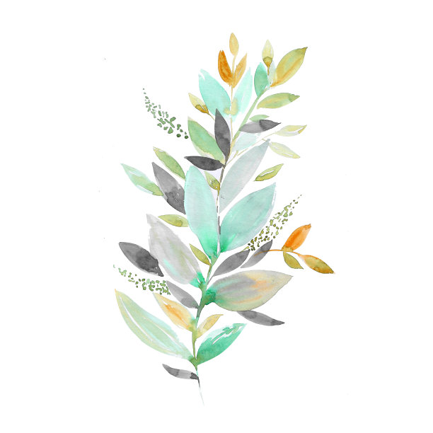 日本风格的热带树叶水彩画。手绘打印，海报，背景。图片下载