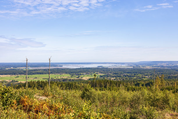 从山上看乡村景色图片下载