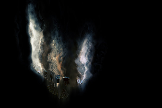 抽象的性质。飞翔的鸟。色散效应。图片下载