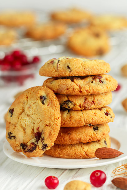 新鲜烘焙的自制圣诞小甜饼配上蔓越莓、杏仁和白巧克力。美味的节日饼干。文化遗产。有选择性的重点图片下载