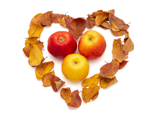 秋天树叶的心在苹果的中间，在白色的背景上。图片下载