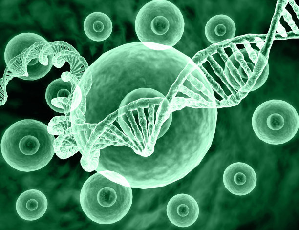 人类DNA的抽象背景图片下载