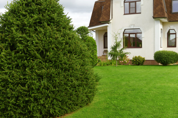 美丽的乡村别墅和花园图片下载