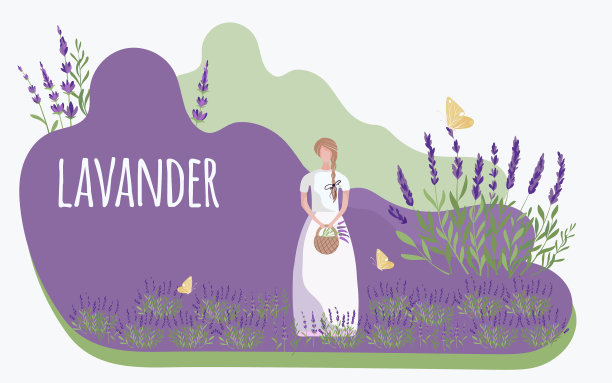 卡通小女孩走进去收集薰衣草图片下载