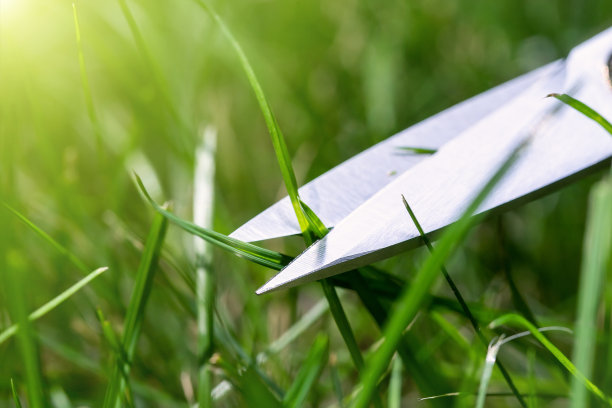 在明亮的夏天阳光明媚的一天，男人的手在后院花园修剪绿草的小指甲剪刀的特写细节视图。精准完美的草坪修剪护理保养和服务理念图片下载