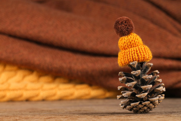 舒适的背景松果，帽子和针织项目。图片下载