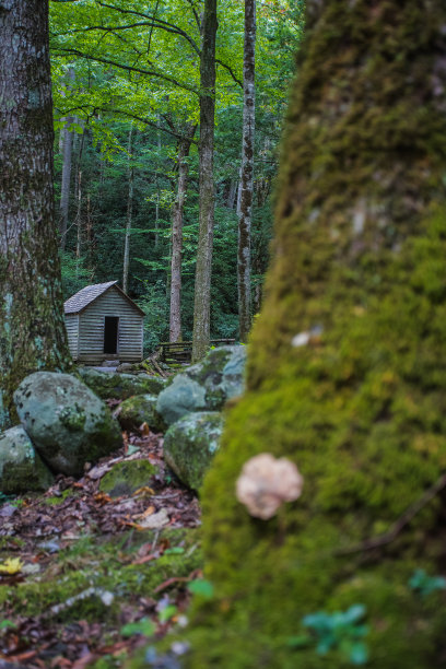 艾尔弗雷德·里根浴缸磨坊-大烟山国家公园图片下载
