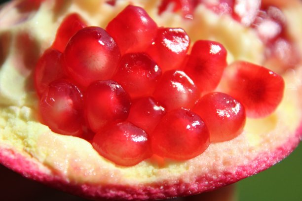 健康的水果图片下载