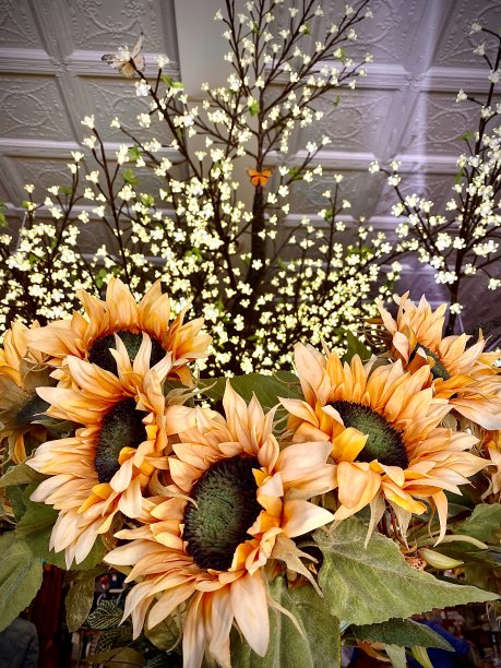 新鲜的向日葵和灯图片下载